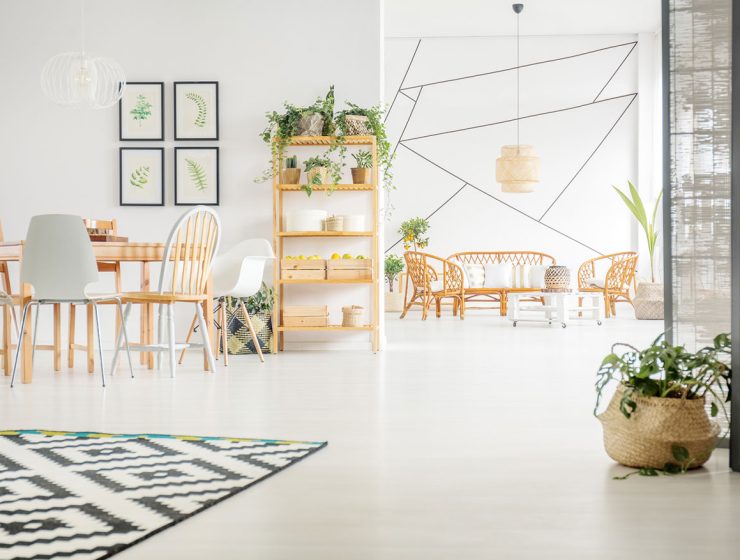 Contemporary apartment